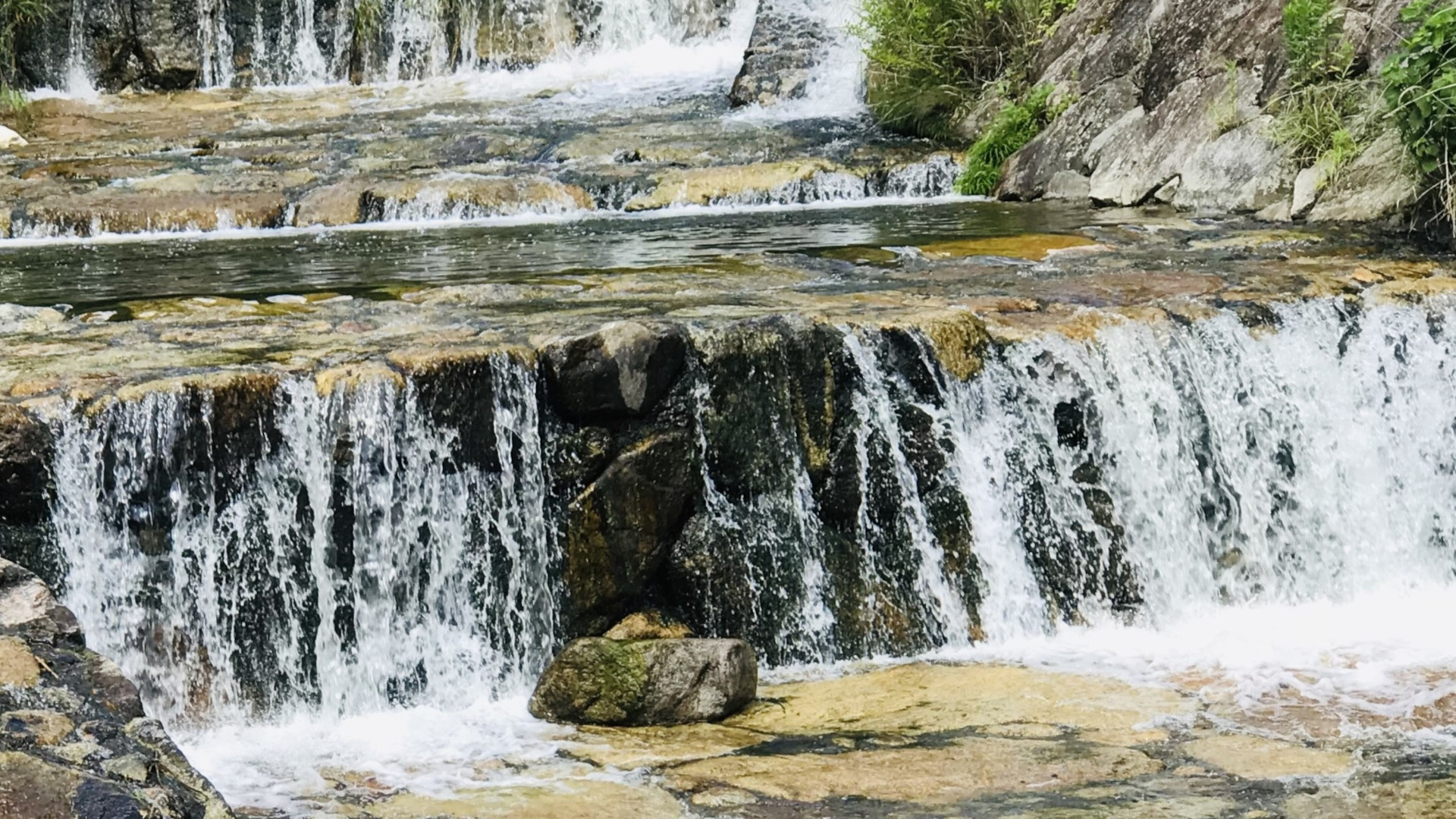 立志福祉会の水
